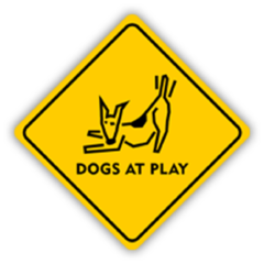 DogsAtPlay